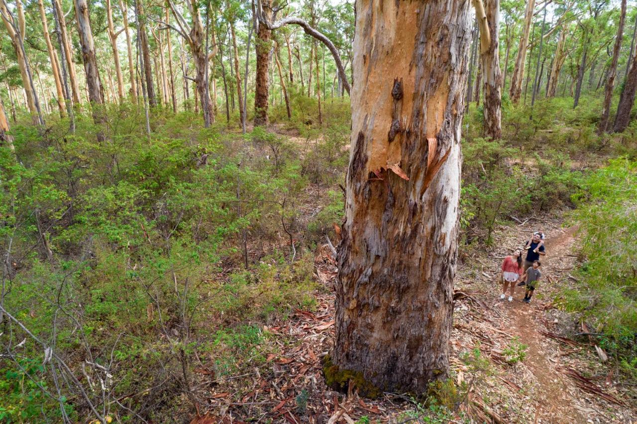 Rac Margaret River Nature Park Exterior foto